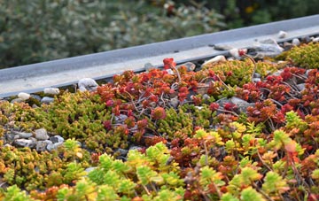 the cost of Sumburgh green roof installation