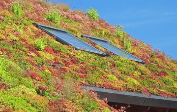 Sumburgh living roof systems